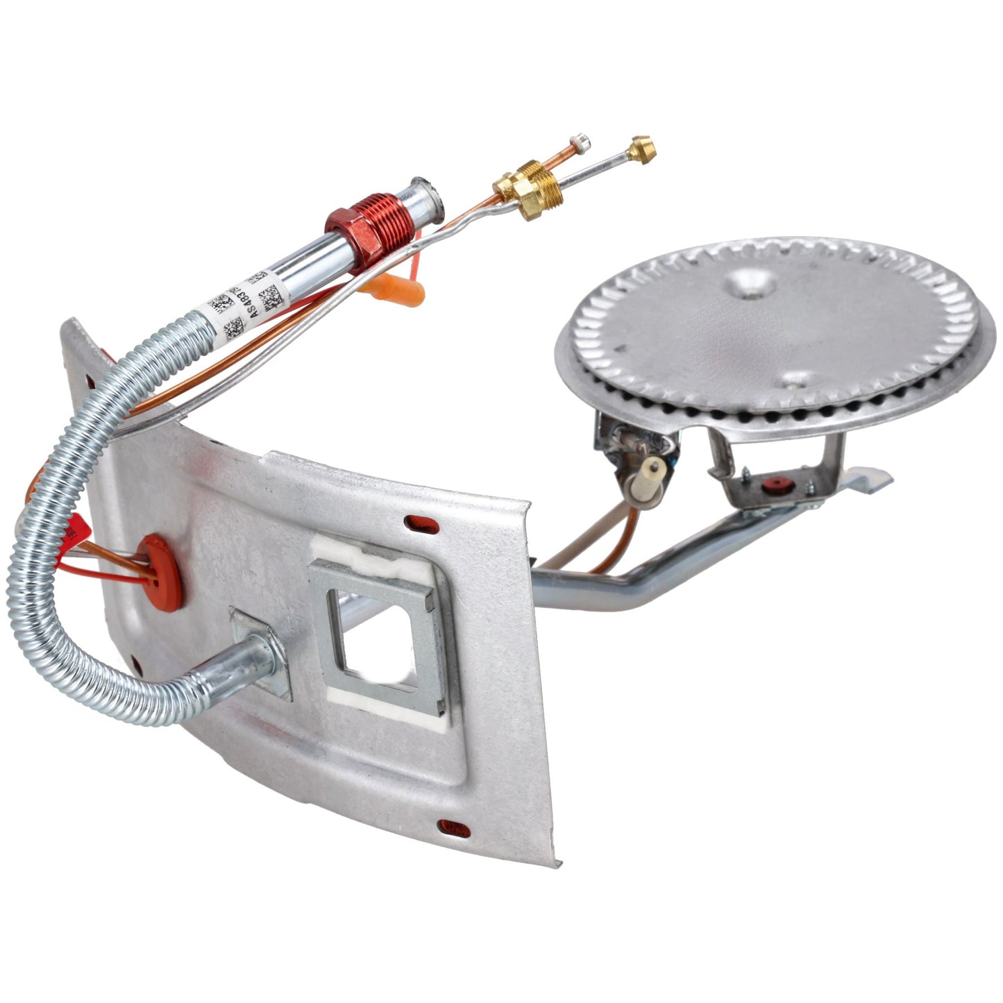 Rheem SP41866 Burner Assembly Kit
