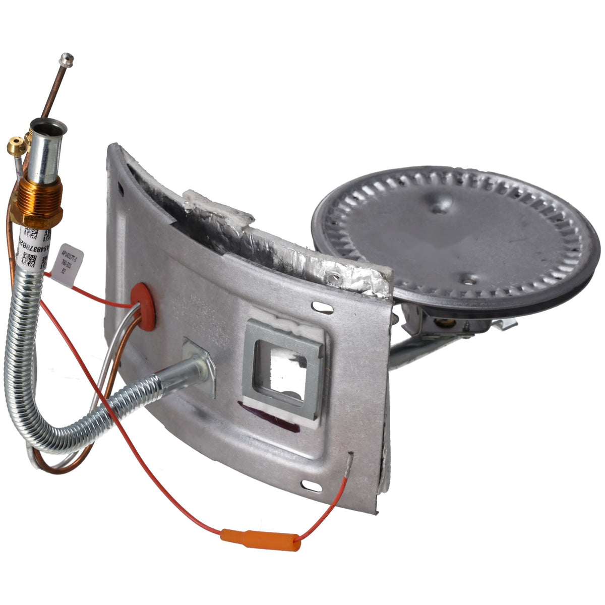 Rheem SP45584 Burner Assembly Kit