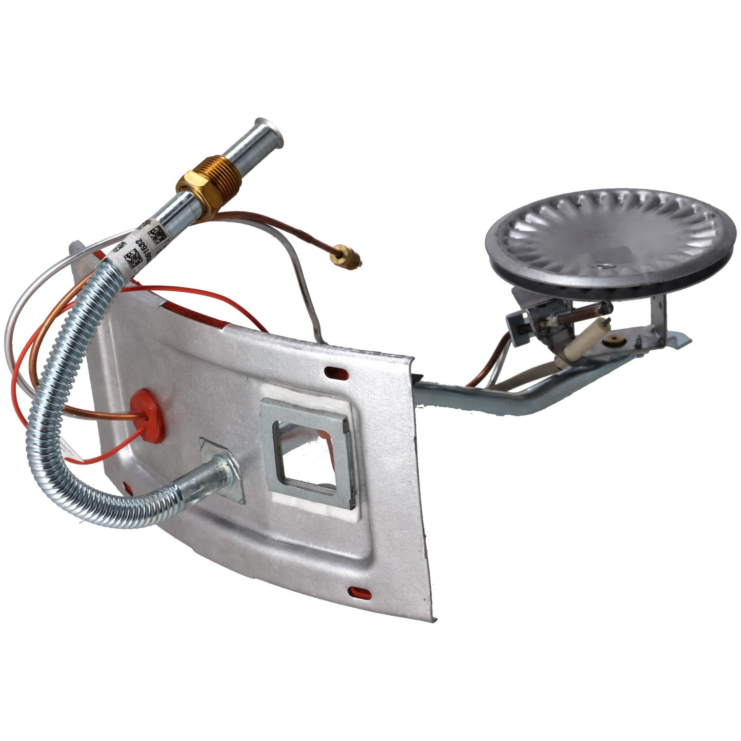 Rheem SP46141 Burner Assembly Kit