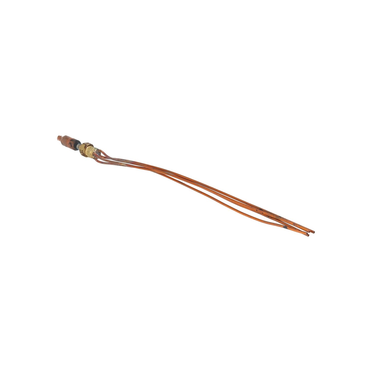 Rheem 61-104236-14 Flowcheck Dist Assembly