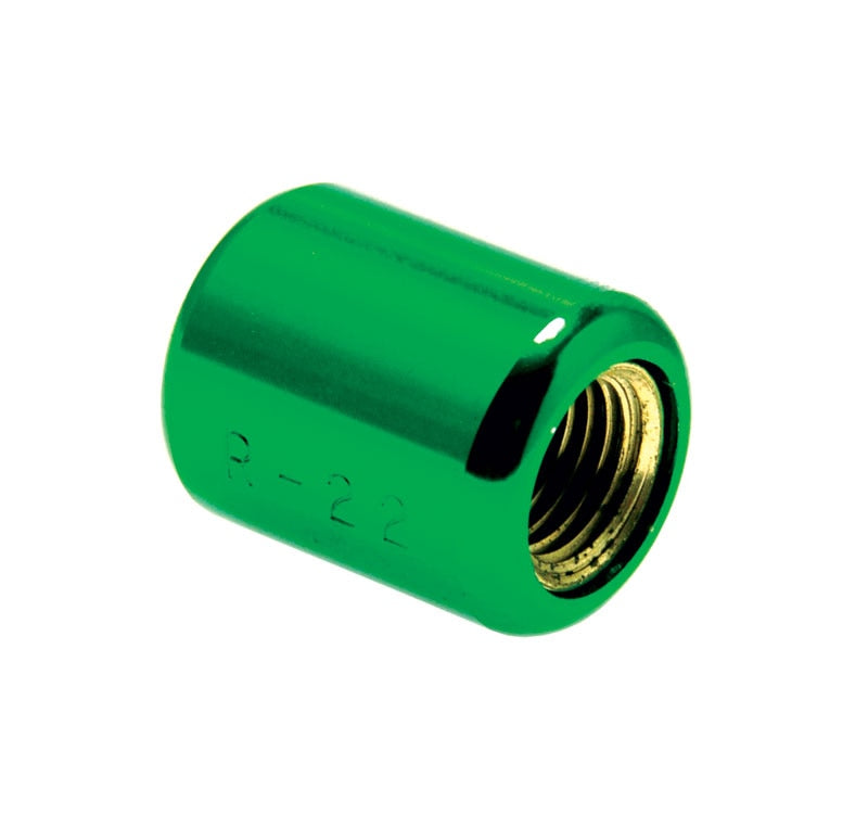 Rheem NG-R22-10PK Green Cap for R-22