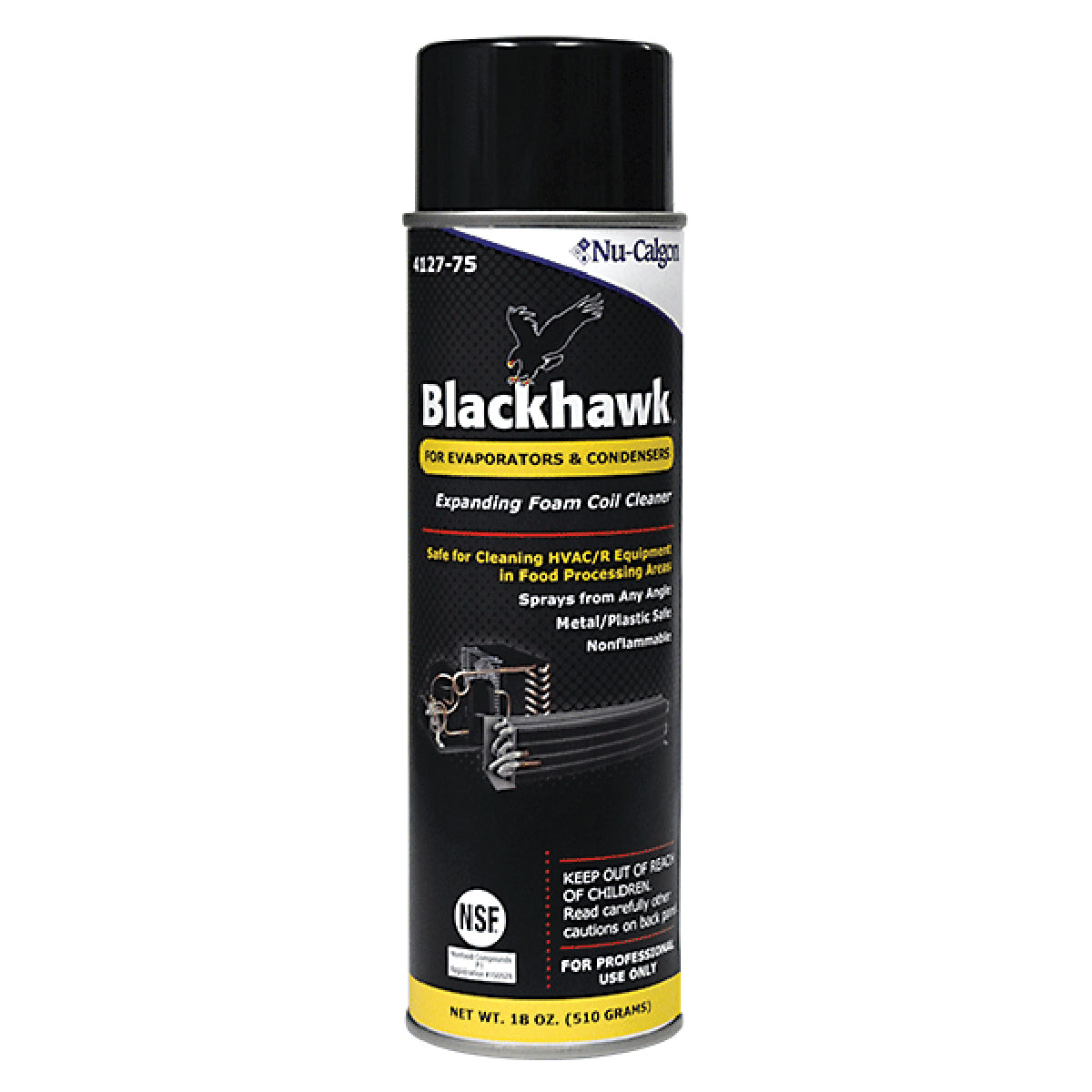 Rheem 4127-75 Blackhawk Aerosl Cleaner 18 Oz.