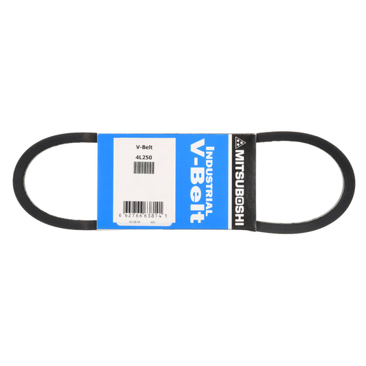 Rheem 4L250 V-Belt