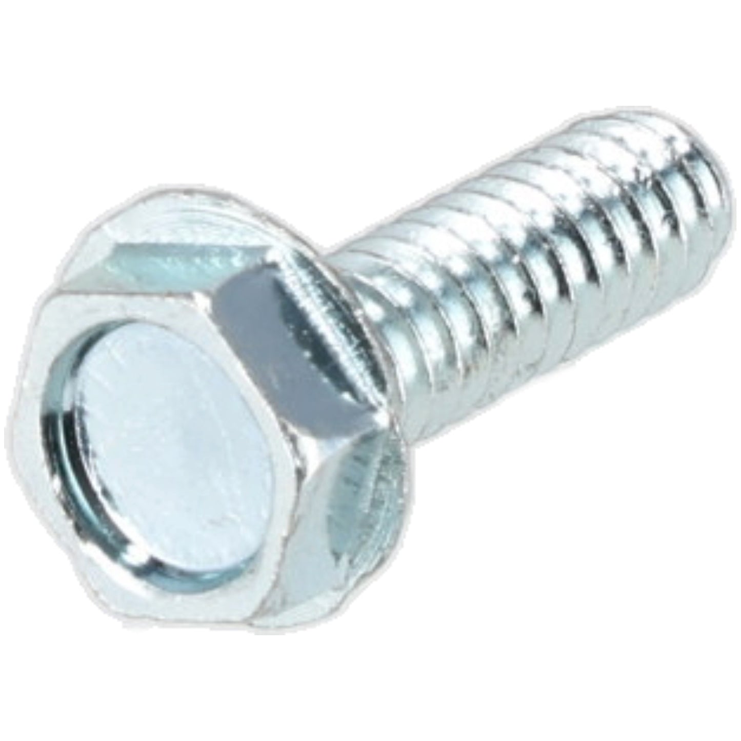 Rheem AP21574 Serrated - Flange Hex Head Screw