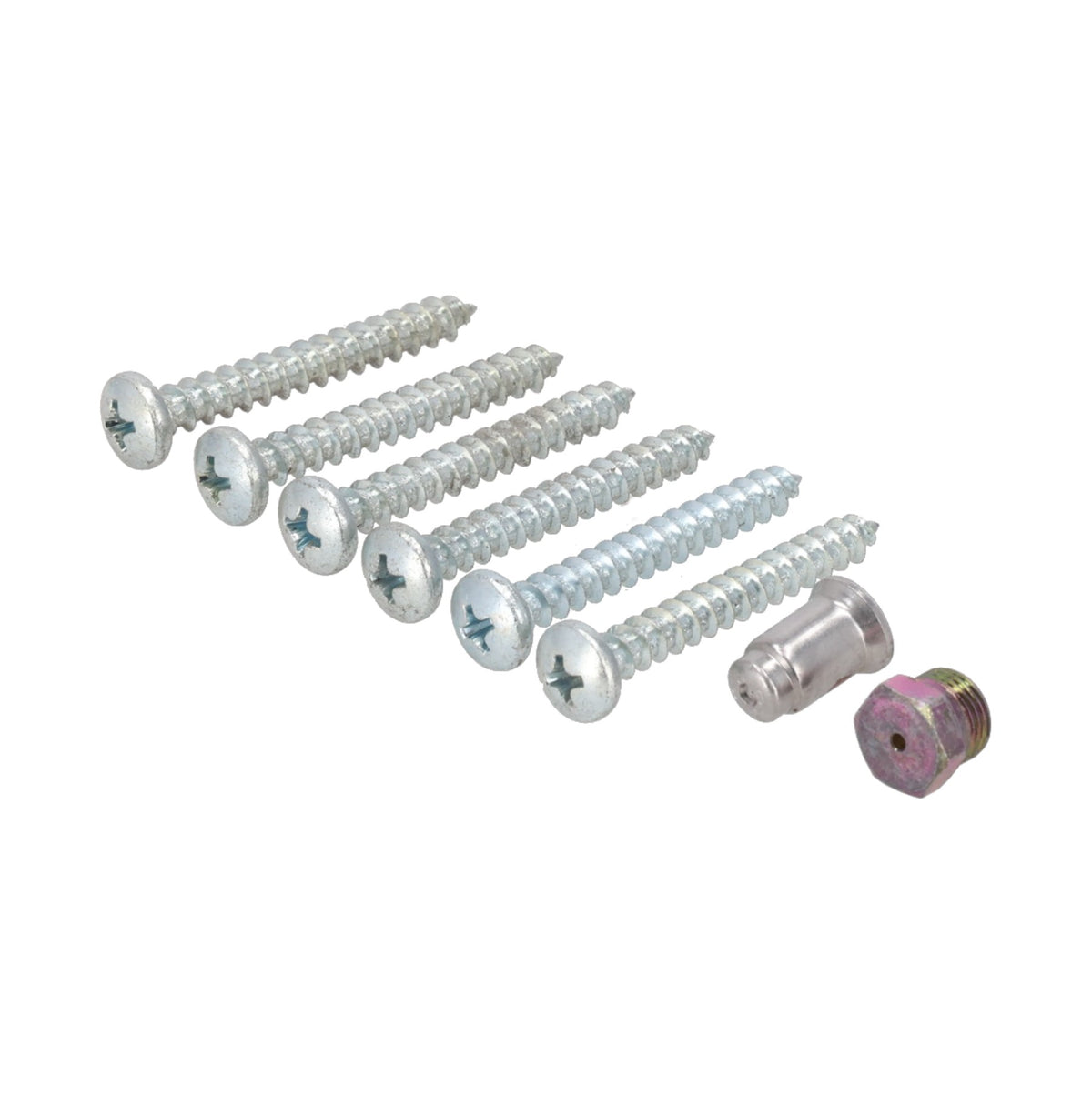 Rheem AS40860 Assembly Bag & Lp Orifice - Ha