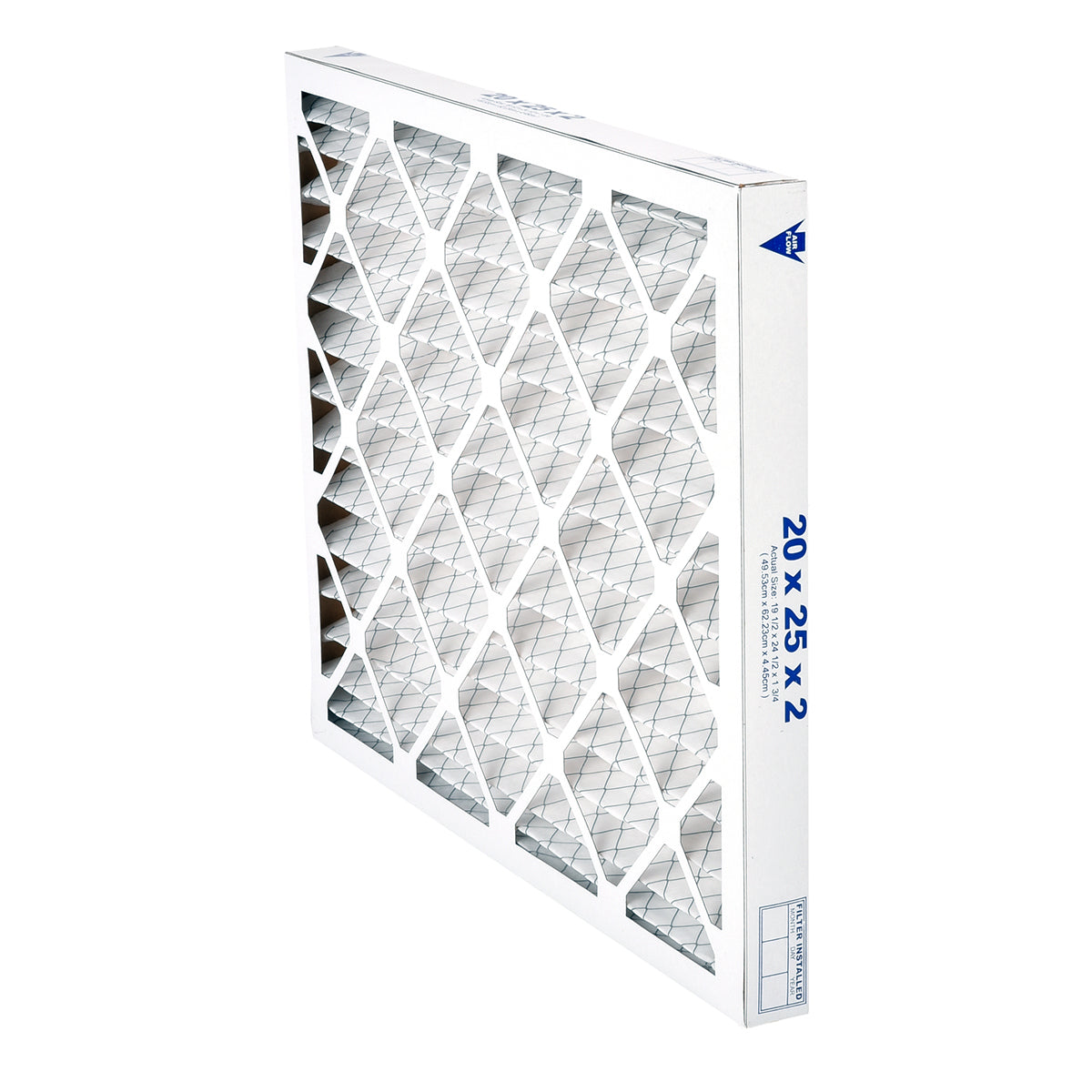 Rheem EQP4020252 Pleated Panel Filter 20 in. X 25 in. X 2 in.