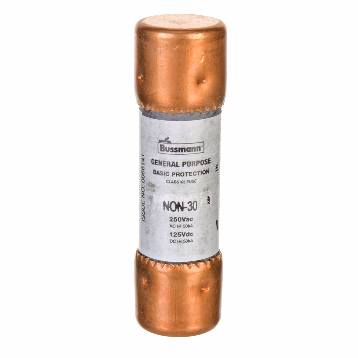 Rheem PD447382 Fuse