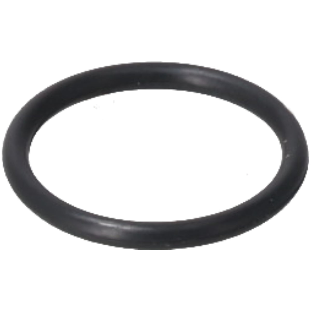 Rheem RTE10278 O'ring, 3/4 in.