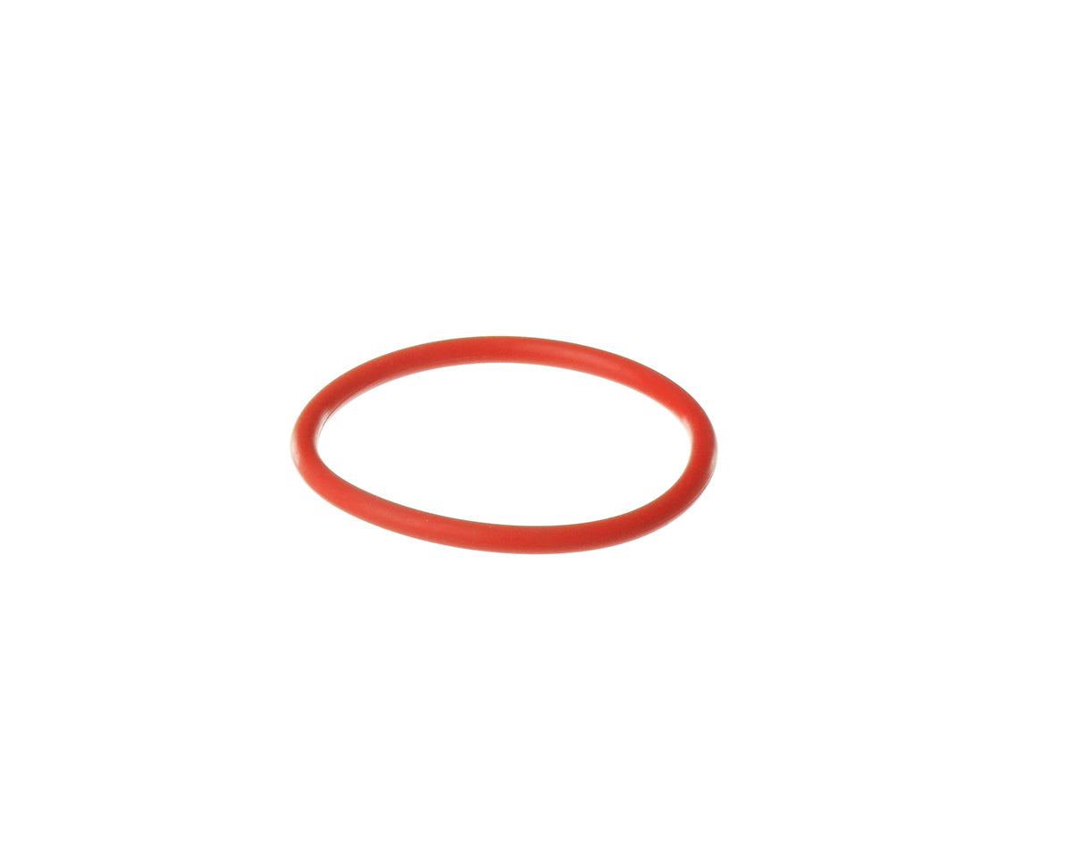 Rheem RTG20298AB O-Ring (P75)