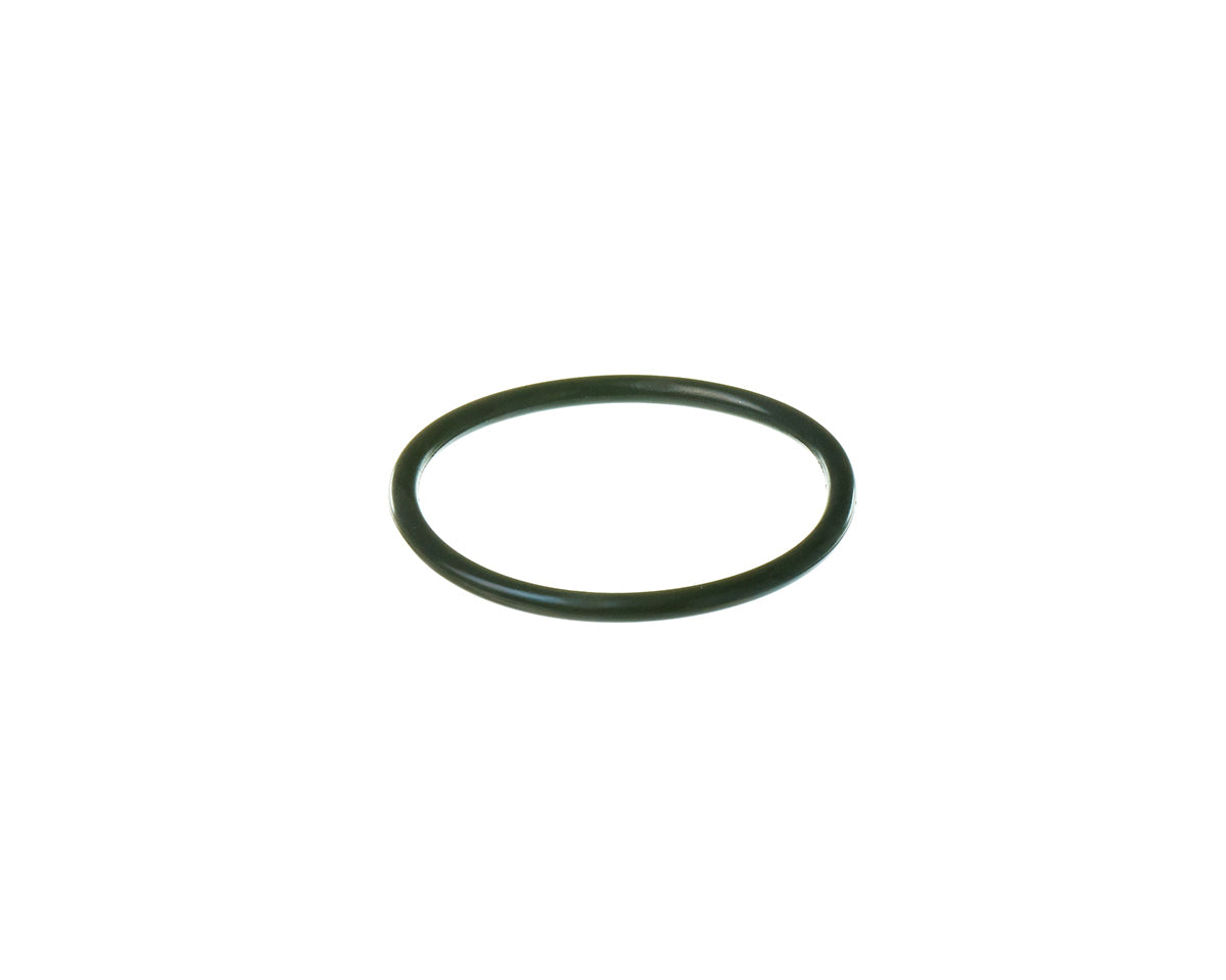 Rheem RTG20298Z O-Ring (P85)