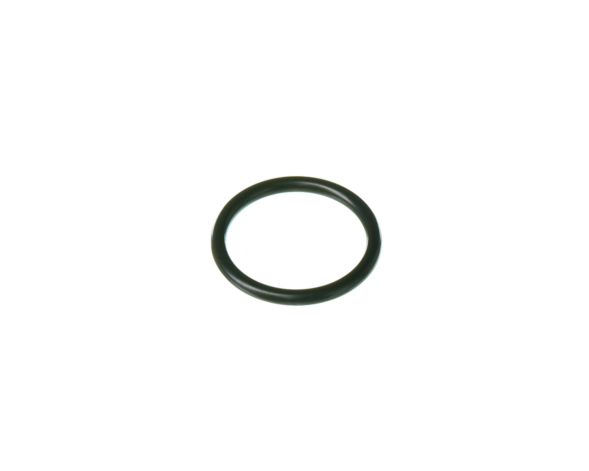 Rheem RTG20299AG O-Ring (p20)
