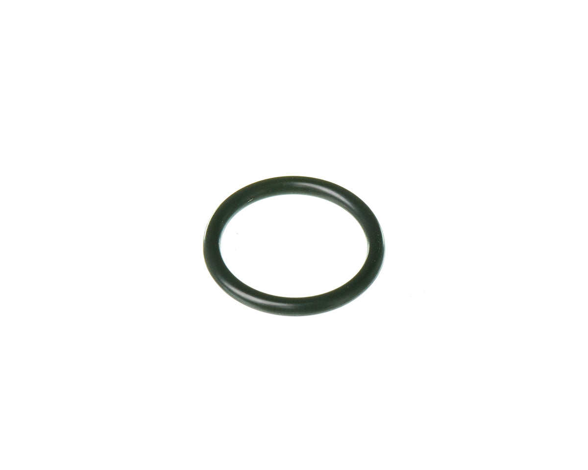 Rheem RTG20300S O-Ring (P18)