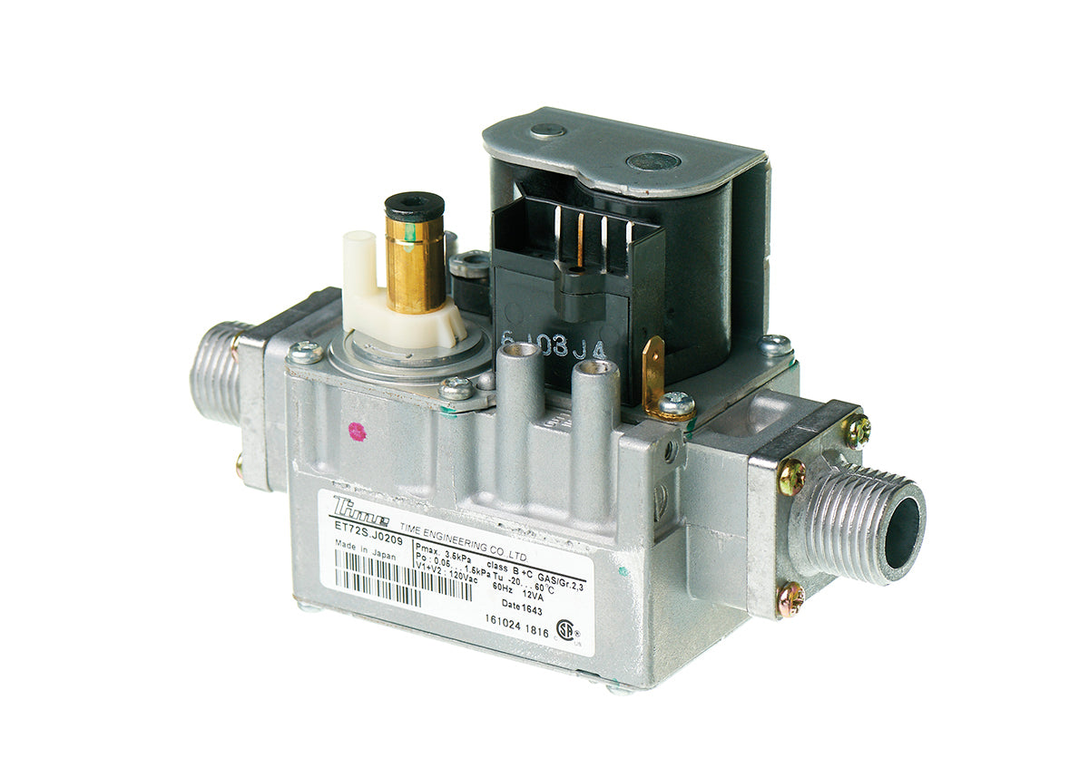Rheem RTG20316CM Gas Valve Assembly