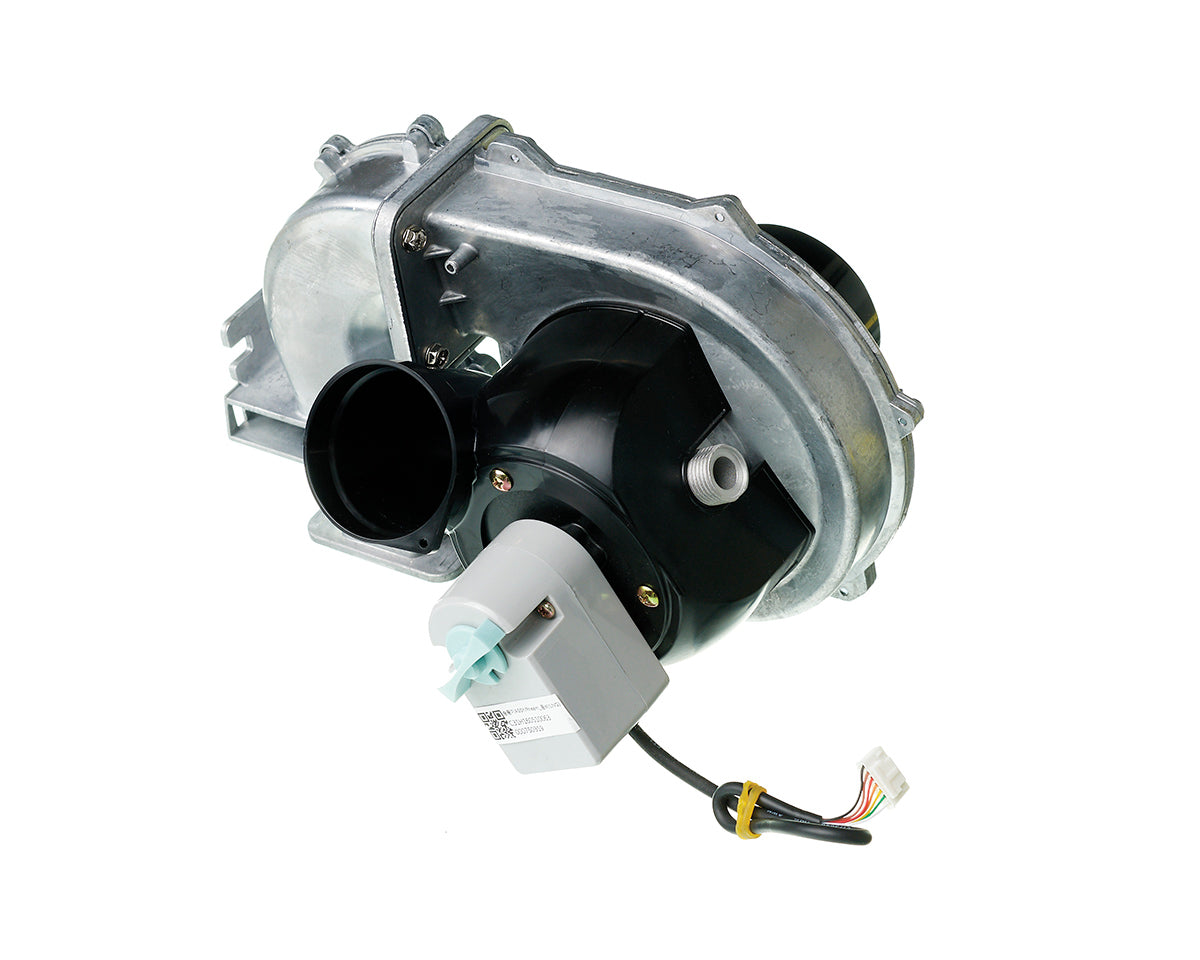 Rheem RTG20316L Fan & Agm Assembly Ng