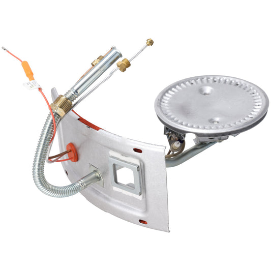 Rheem SP41875 Burner Assembly Kit