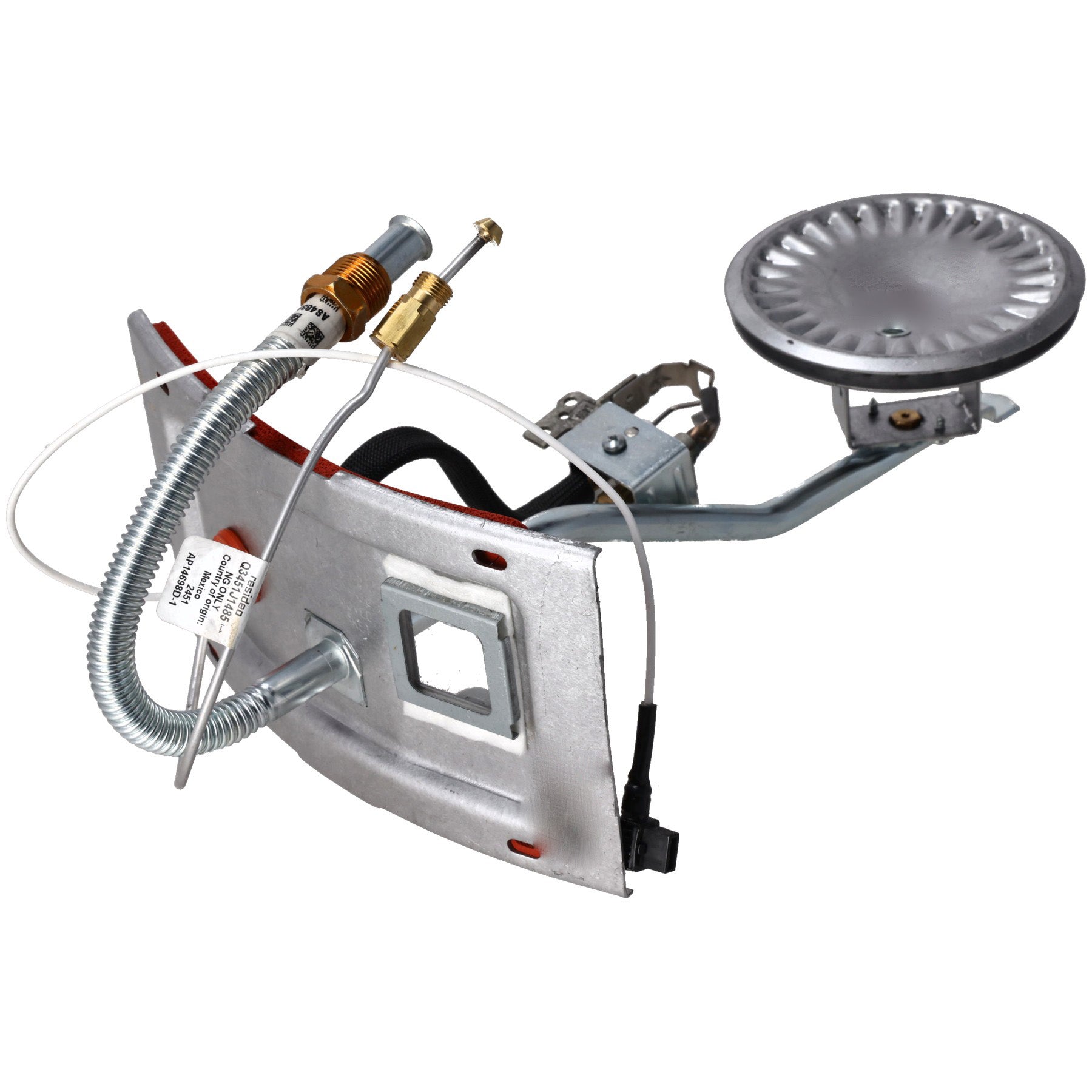 Rheem SP42413 Burner Assembly Kit