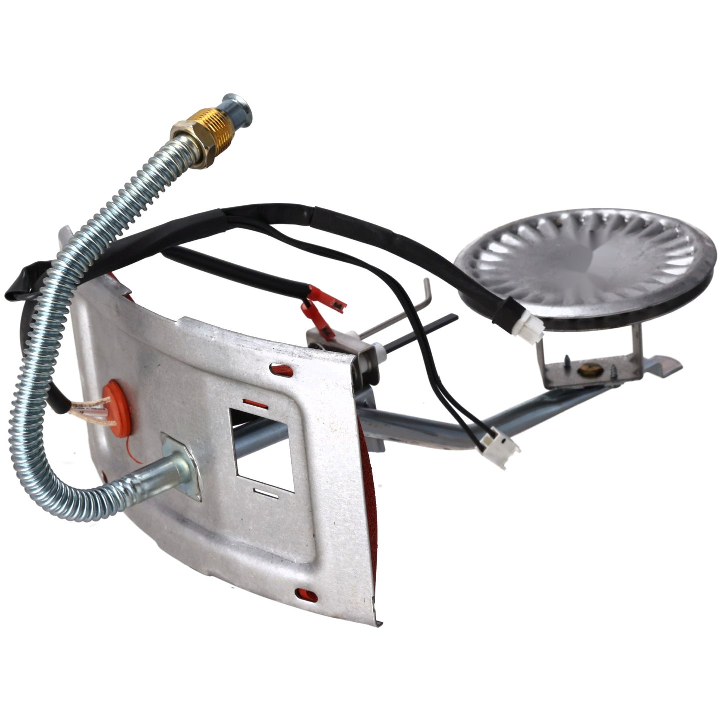 Rheem SP43340 Burner Assembly W/sight Glass - Ng Kit
