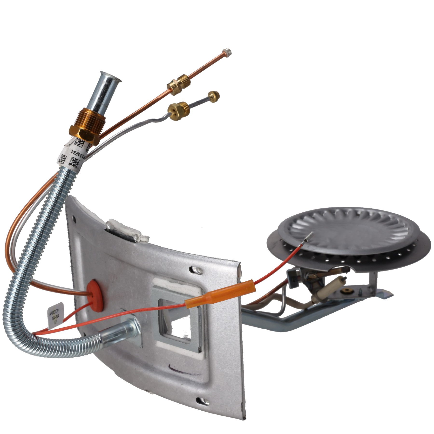 Rheem SP45393 Burner Assembly Kit