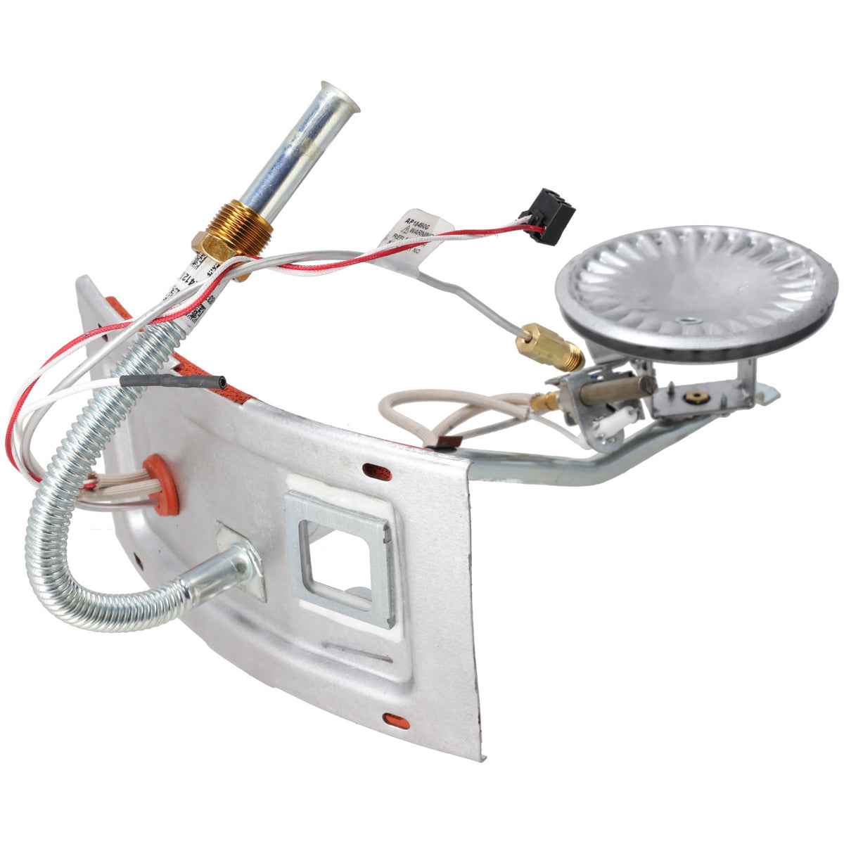 Rheem SP46764 Burner Assembly Kit