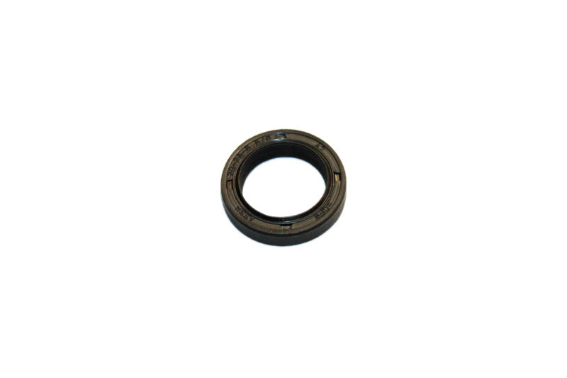 Briggs & Stratton BS,186381GS 186381GS Seal Generac Portables Pressure Washer Parts