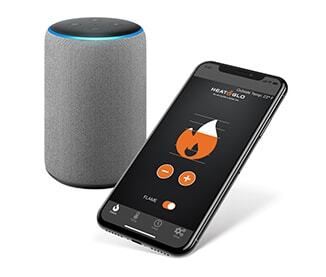 Heat & Glo SPEAKER-KIT Speaker Kit