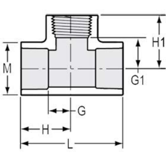 402-025 Tee, 2-1/2" Socket x Socket x FIPT White PVC Schedule 40 Standard