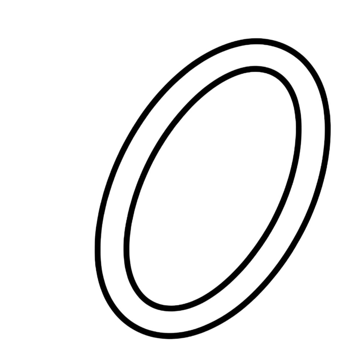 Hydro-Gear 54219 Ring Ret 125 Ext