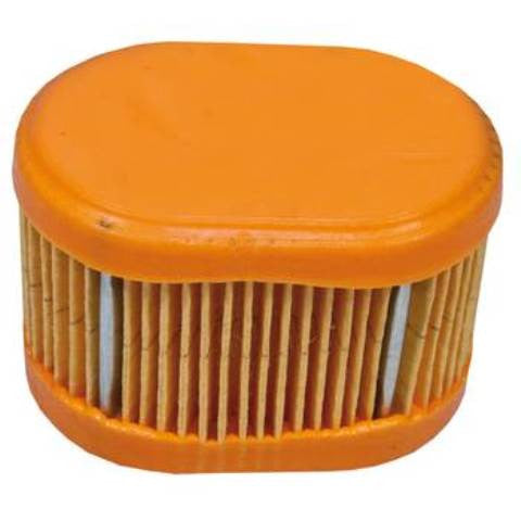 Briggs & Stratton 30-123 Air Filter