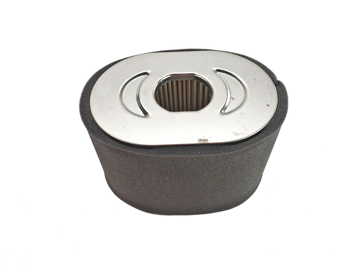 Briggs & Stratton BS,799818 799818 Filter-Air Cleaner CA