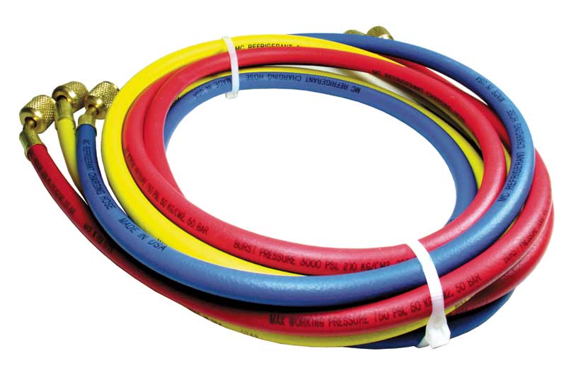 Rheem 40372 Hose Set-Standard 72 W/stand Fittings