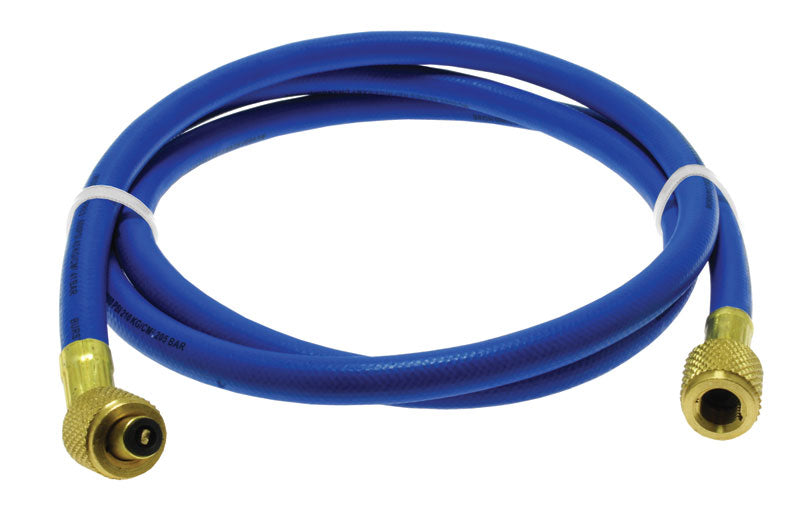 Rheem 41601 Hose-Blue-Standard 60 W/standard Fittin