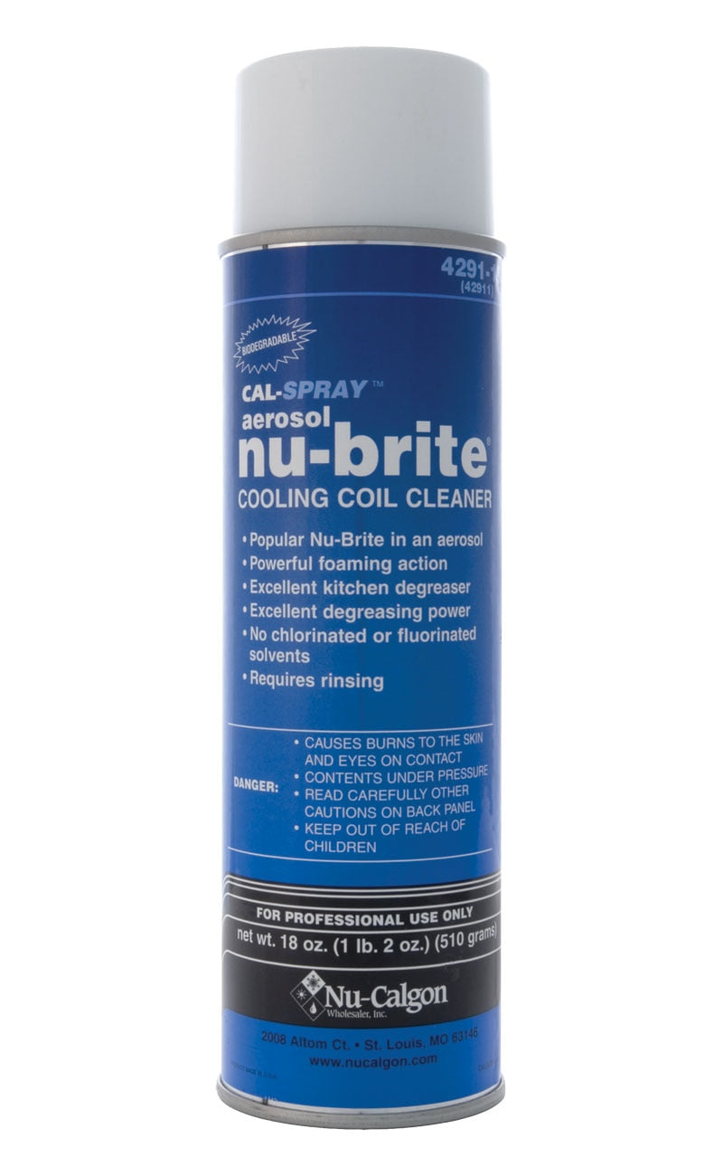 Rheem 4291-18 Nu-Brite Aerosol - 18 Oz. (6/CASE)