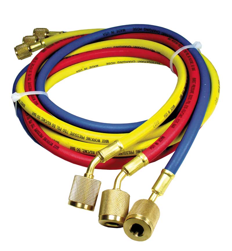 Rheem 45360 Hose Set-Stand 60 W/auto Shut-Off Fitt
