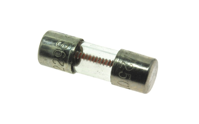 Rheem 46-22863-82-5PK Fuses - 5 Pack