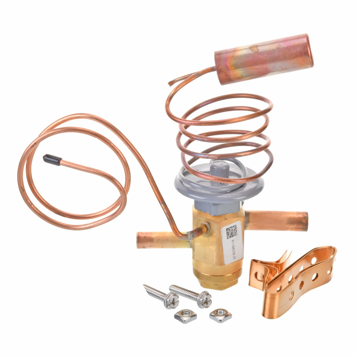 Rheem 61-106239-25 Txv Cbbive Series 1