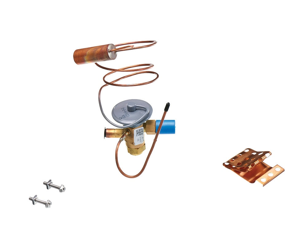 Rheem 61-21922-33 Expansion Valve Bivega 5