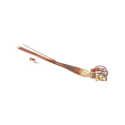 Rheem 61-42662-27 Tx Valve Assembly