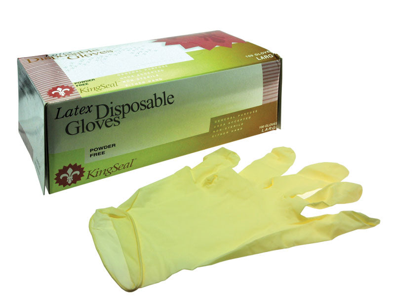 Rheem 849129 Gloves-Powderfree Latex-L (10/CASE)