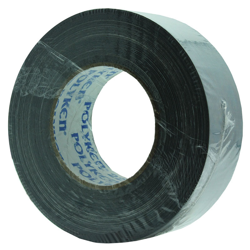 Rheem 86-P223 2X60 Silver TAPE-24/CASE