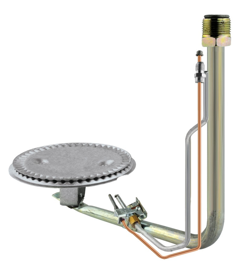 Rheem AM35050CJJ Burner/pilot Assembly Ng