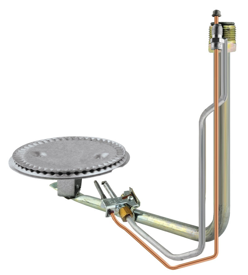 Rheem AM35050DHH Burner/pilot Assembly Ng