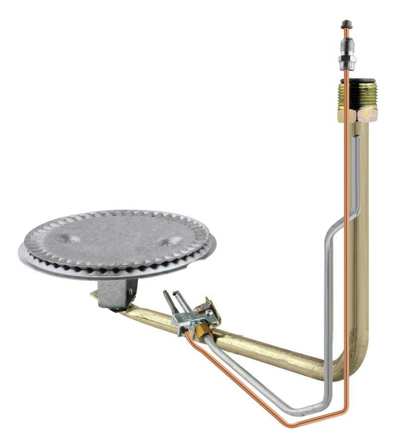 Rheem AM35050EGG Burner/pilot Assembly Ng