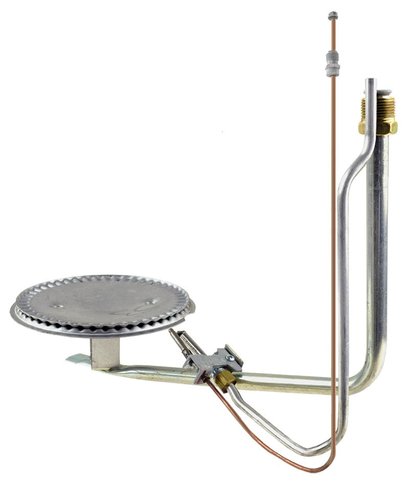 Rheem AM35361DC Burner/pilot Assembly Ng