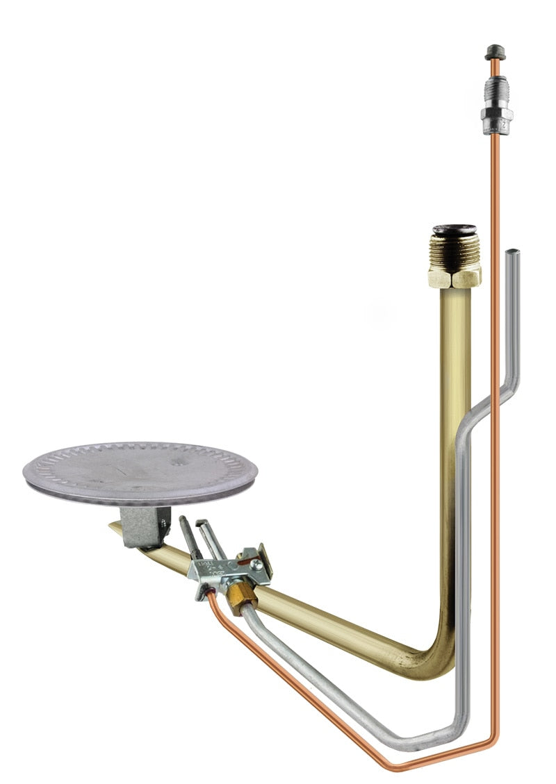 Rheem AM38763ET Burner/pilot Assembly - Low-Nox
