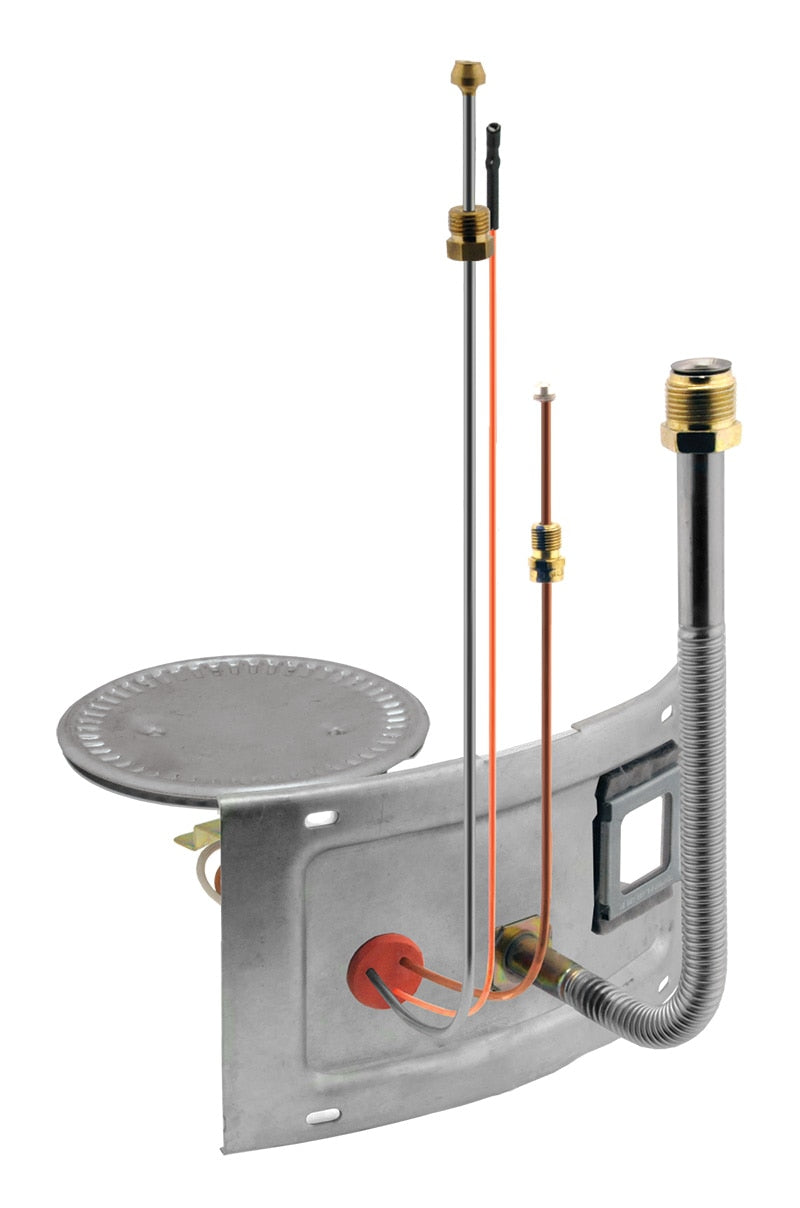 Rheem AM39861-1 Burner-Door Assembly RGR40-40 Nat
