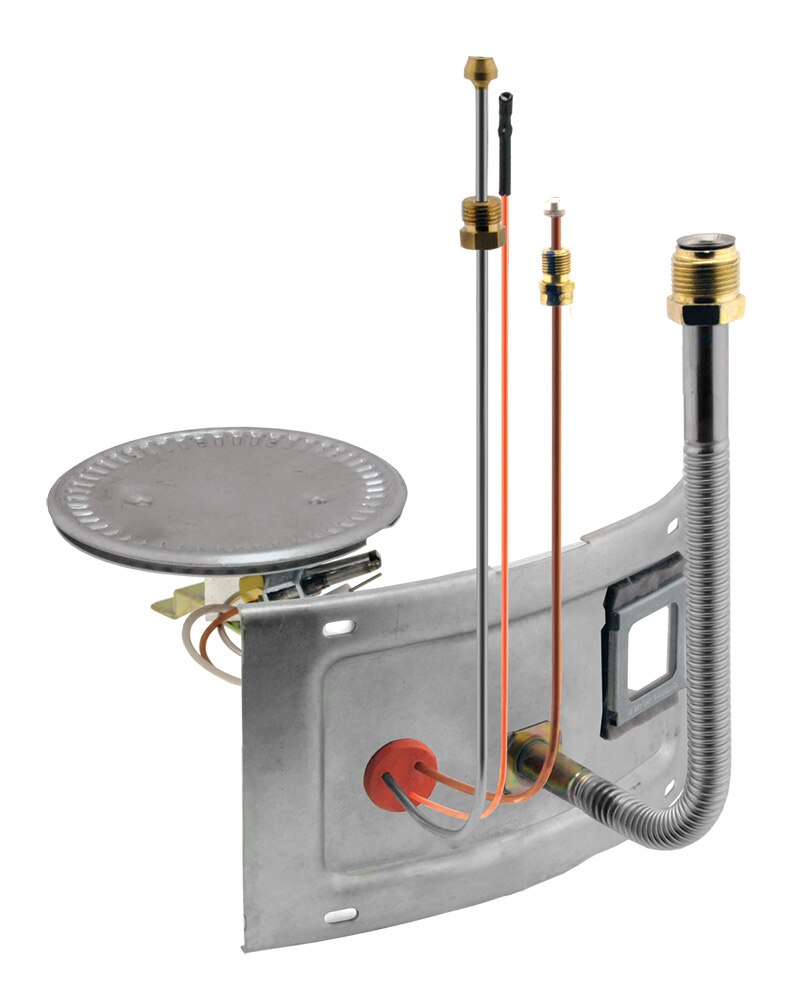 Rheem AM39918-1 Burner-Door Assembly RG30-30 Nat