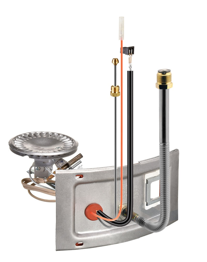Rheem AM46062 Assembly-Burner/door - 20" Dia - Nat (Wr-Ec) 40kBTU