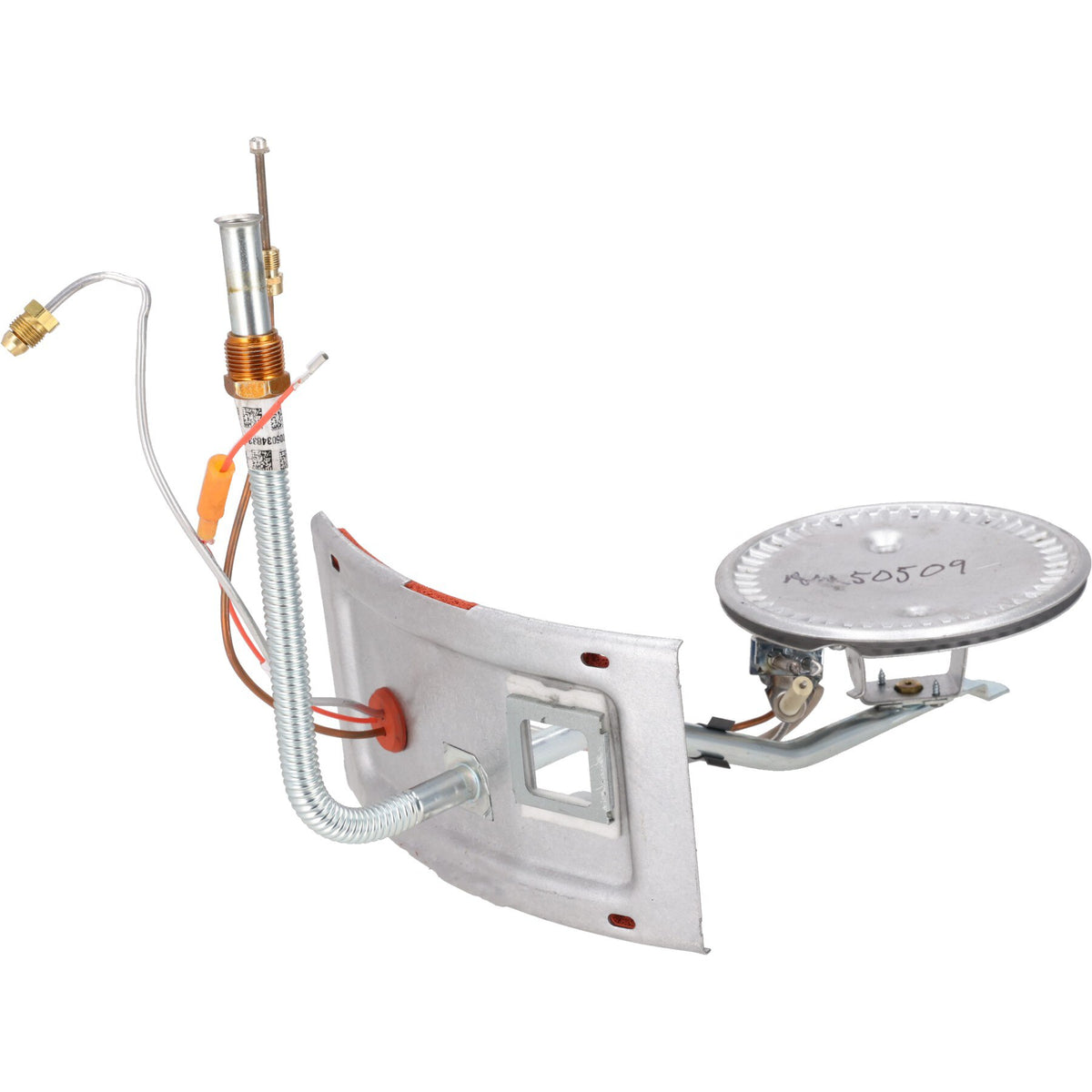 Rheem AM50509 Assembly Burner Door-Nat