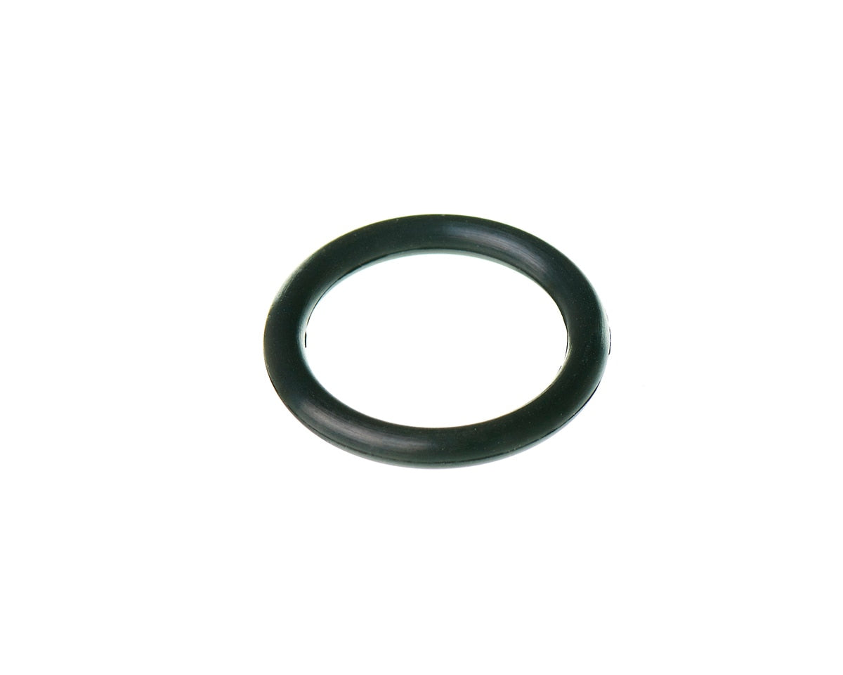Rheem RTG20006AP O-Ring P-10 RTG-74