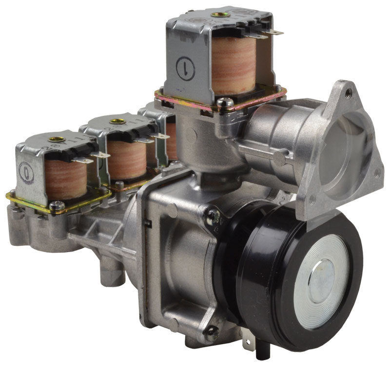 Rheem RTG20164A Gas Valve (Ng)